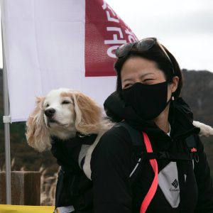 「준」 보호자님